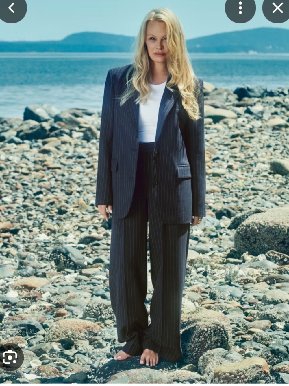 Aritzia Babton Suit
